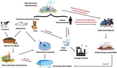 The potential of fungi in the bioremediation of pharmaceutically active compounds: a comprehensive review